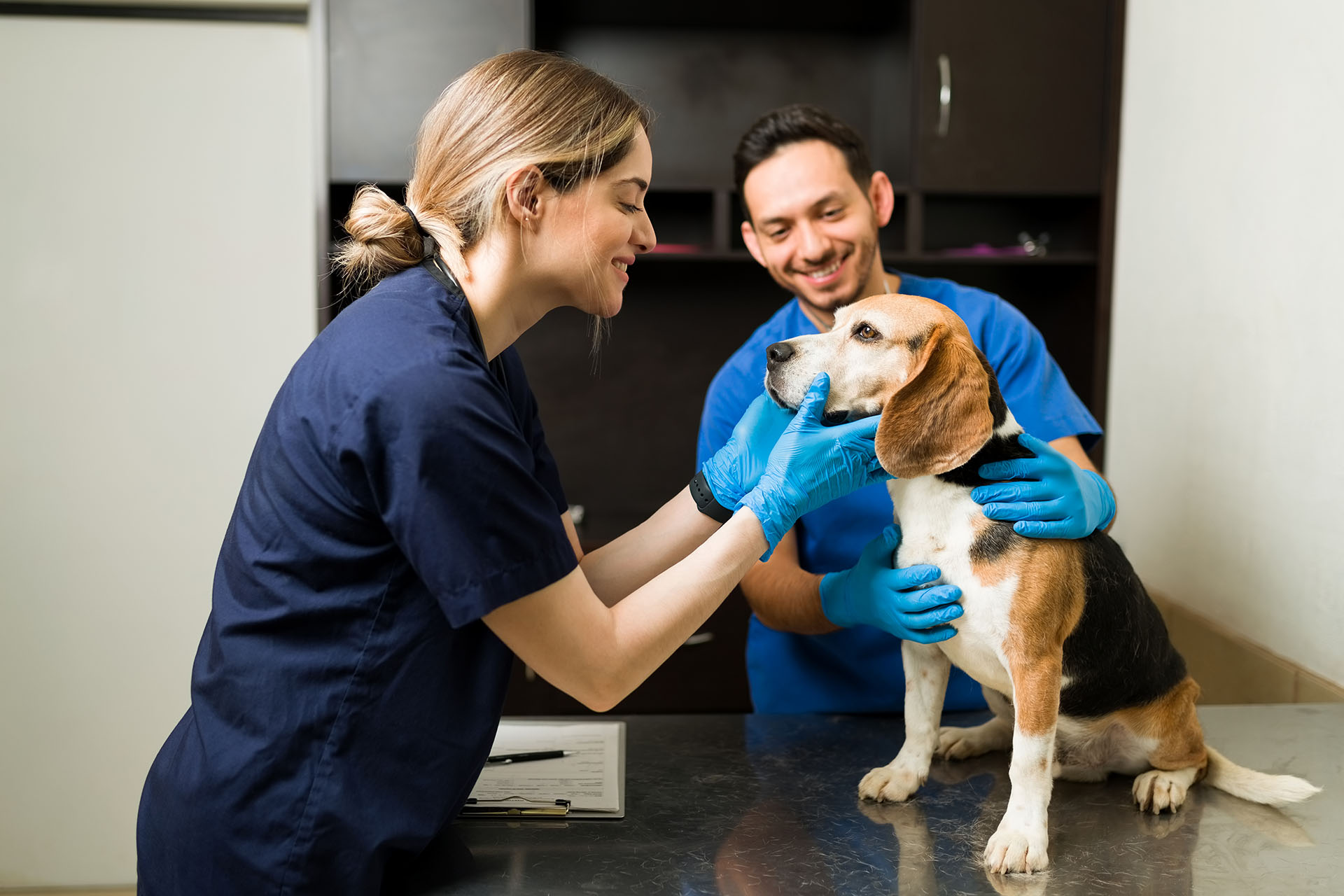 Clínica Veterinaria Aarón